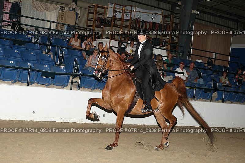 Proof 07R14_0838