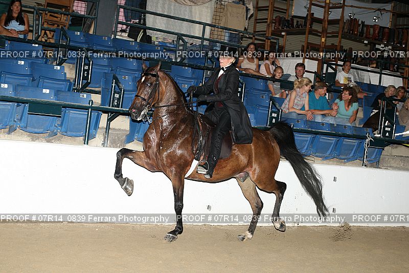 Proof 07R14_0839