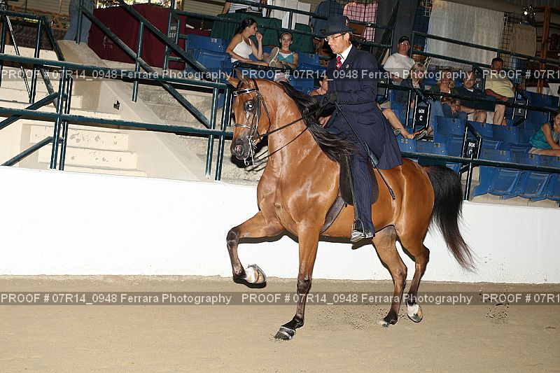 Proof 07R14_0948