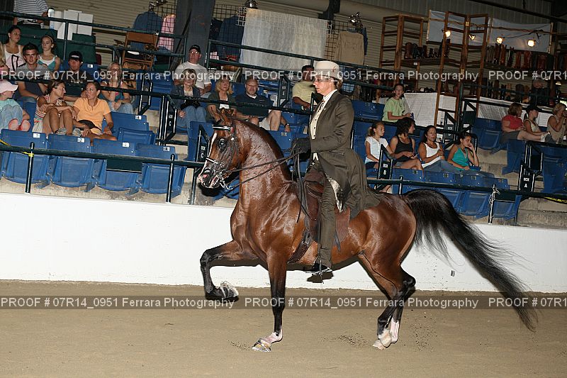 Proof 07R14_0951