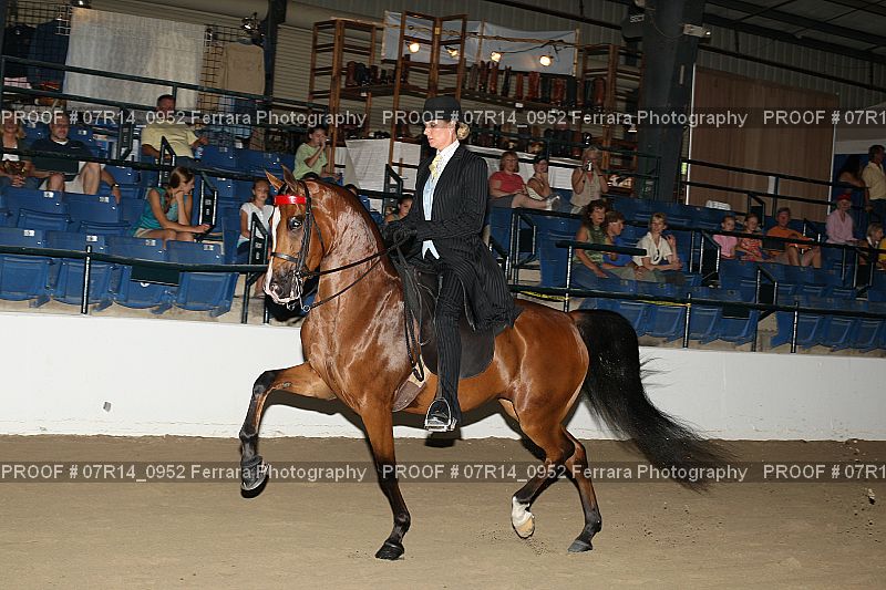 Proof 07R14_0952