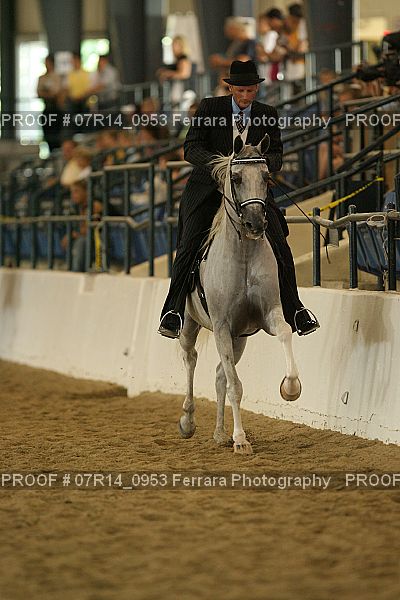 Proof 07R14_0953