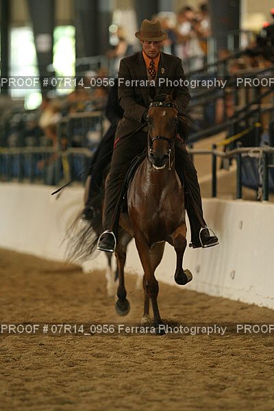 Proof 07R14_0956