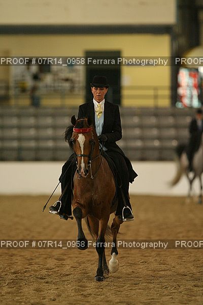 Proof 07R14_0958