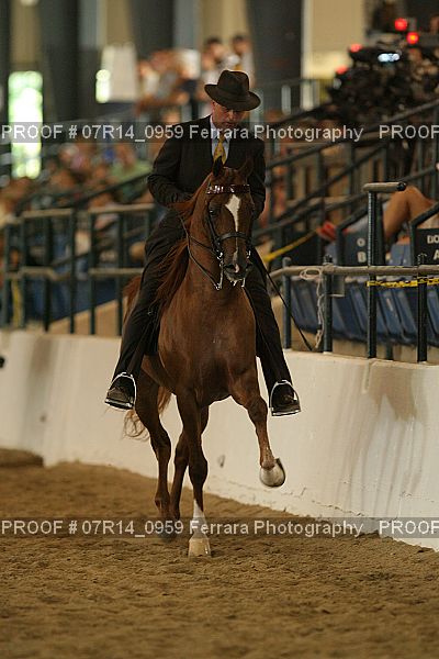 Proof 07R14_0959