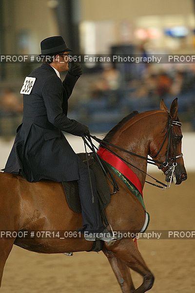 Proof 07R14_0961