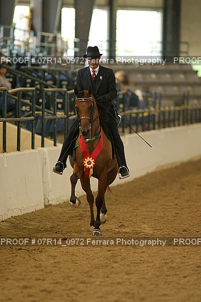 Proof 07R14_0972