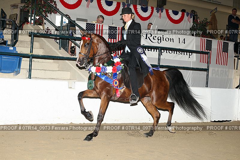 Proof 07R14_0973