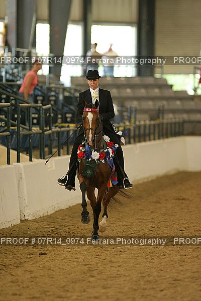 Proof 07R14_0974