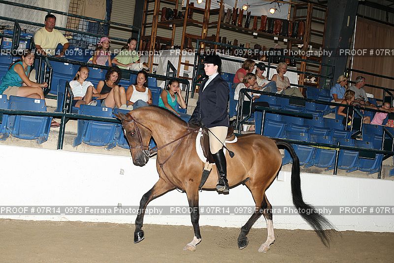 Proof 07R14_0978