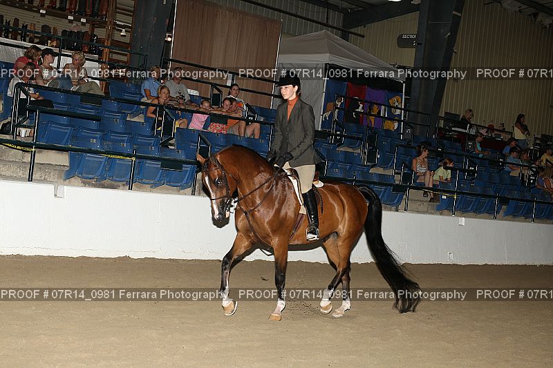 Proof 07R14_0981