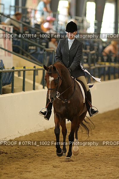 Proof 07R14_1002