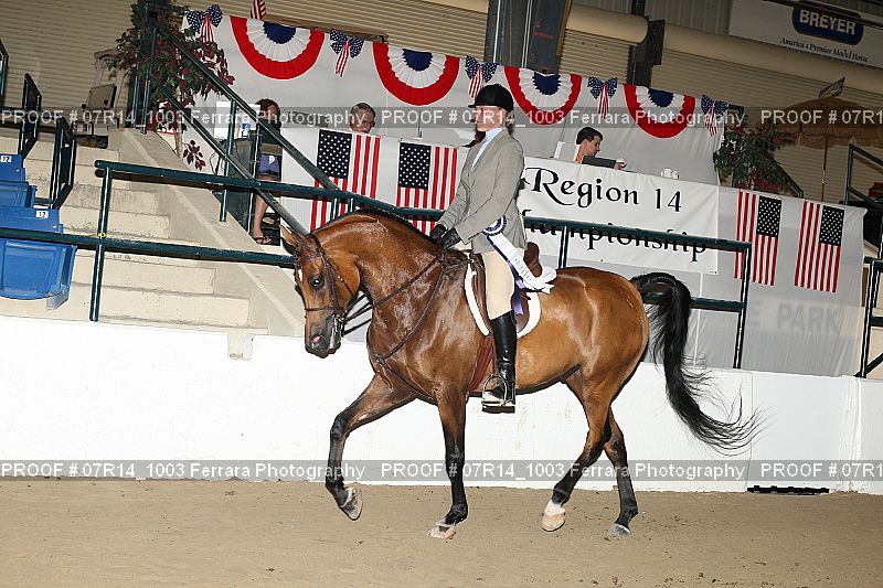 Proof 07R14_1003