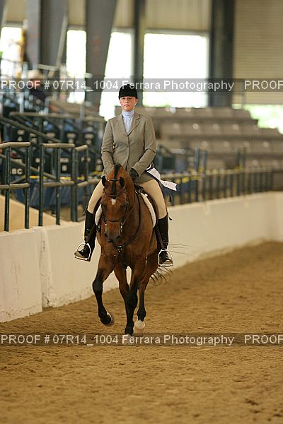Proof 07R14_1004