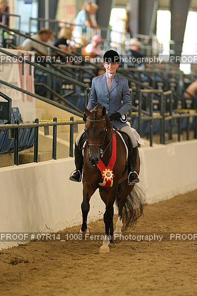 Proof 07R14_1008