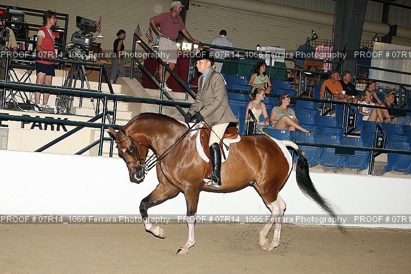 Proof 07R14_1066