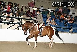 07R14_1066 proof
