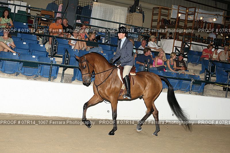 Proof 07R14_1067