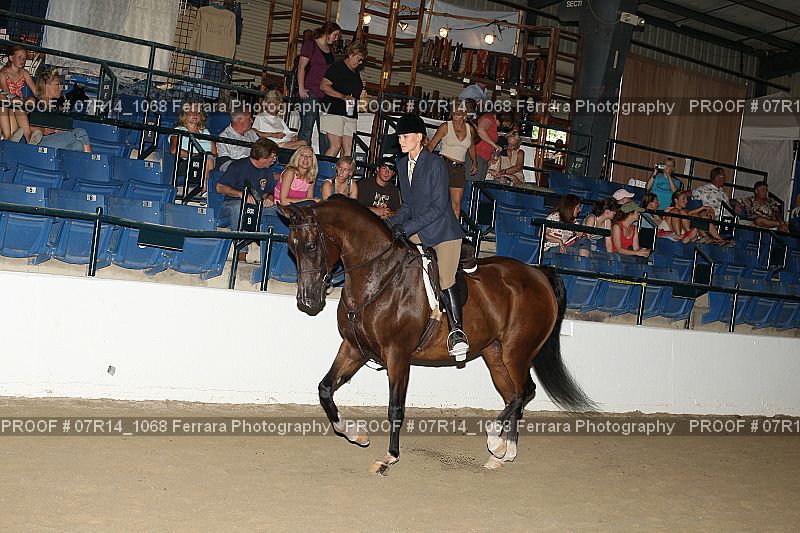 Proof 07R14_1068
