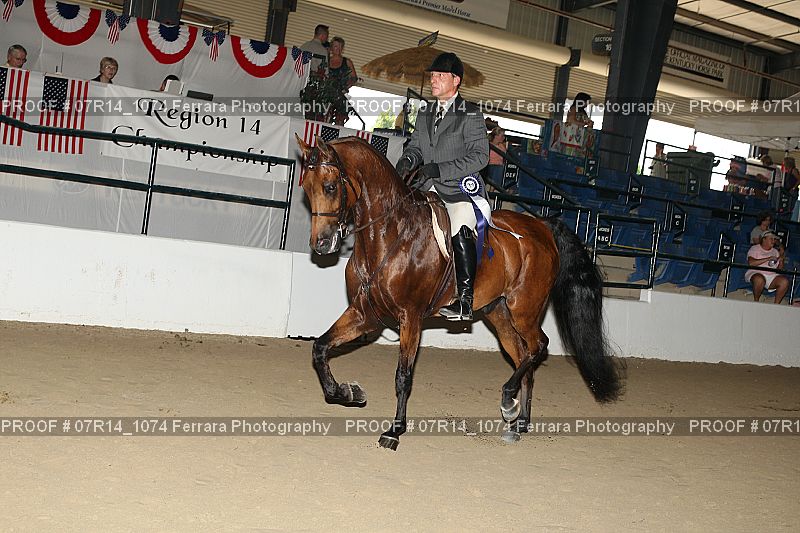 Proof 07R14_1074
