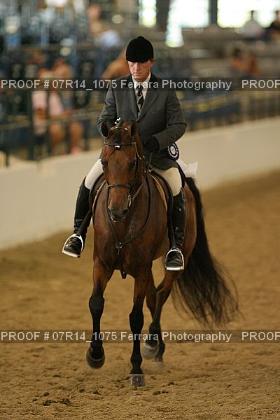 Proof 07R14_1075