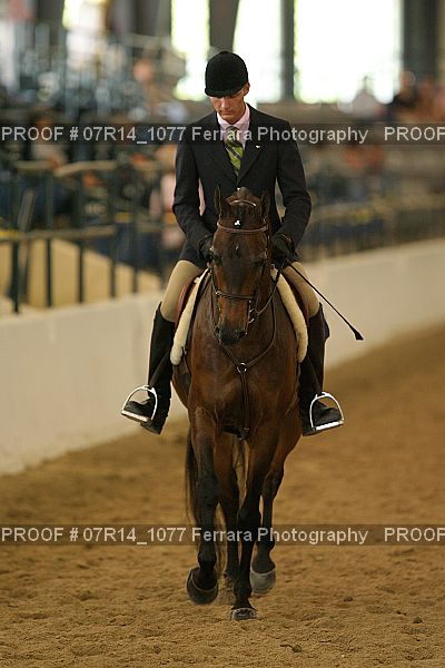 Proof 07R14_1077