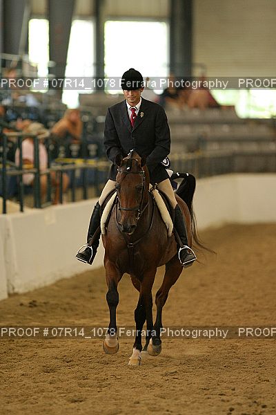 Proof 07R14_1078