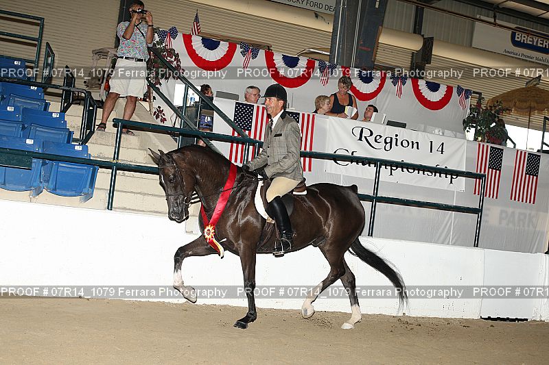 Proof 07R14_1079