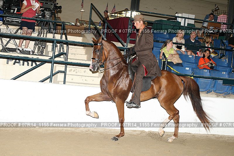 Proof 07R14_1155