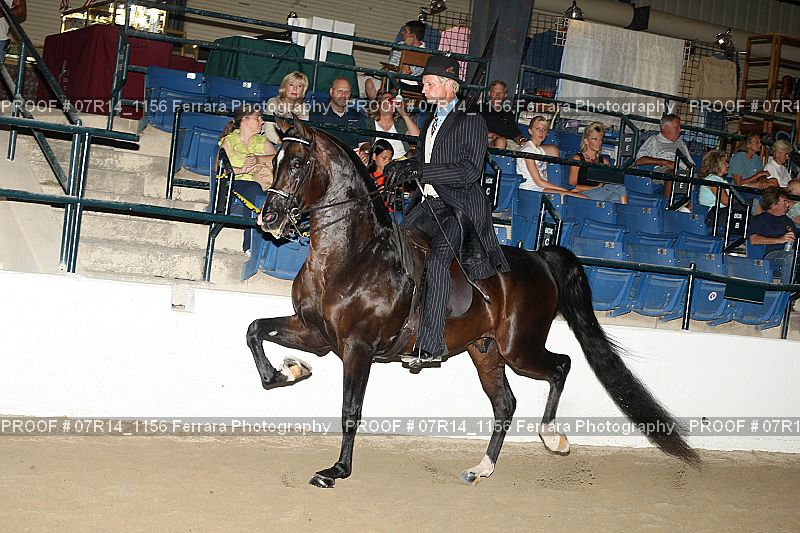Proof 07R14_1156