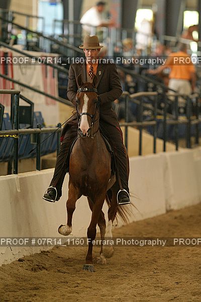 Proof 07R14_1160