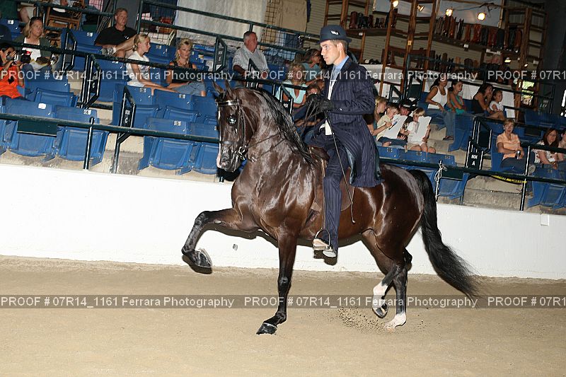 Proof 07R14_1161