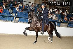 07R14_1161 proof