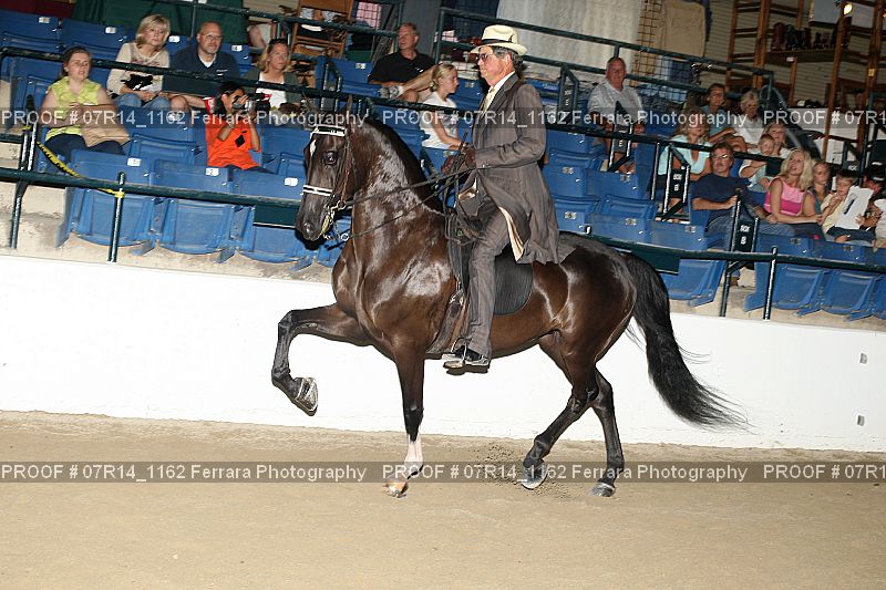 Proof 07R14_1162