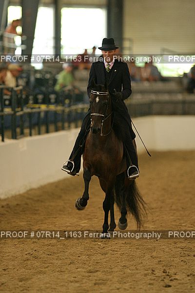 Proof 07R14_1163