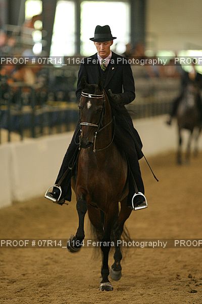 Proof 07R14_1164