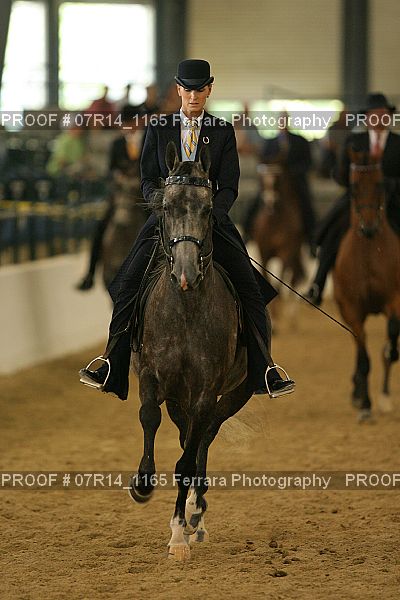 Proof 07R14_1165