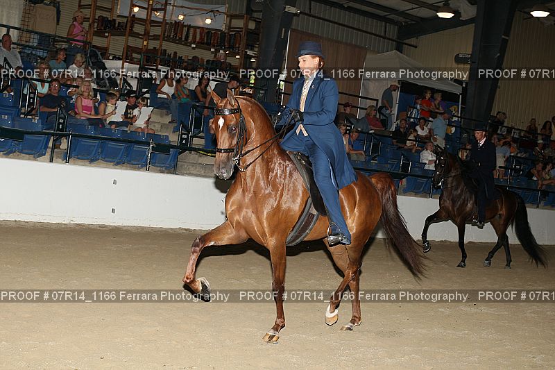 Proof 07R14_1166
