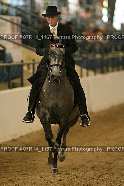 Proof 07R14_1167