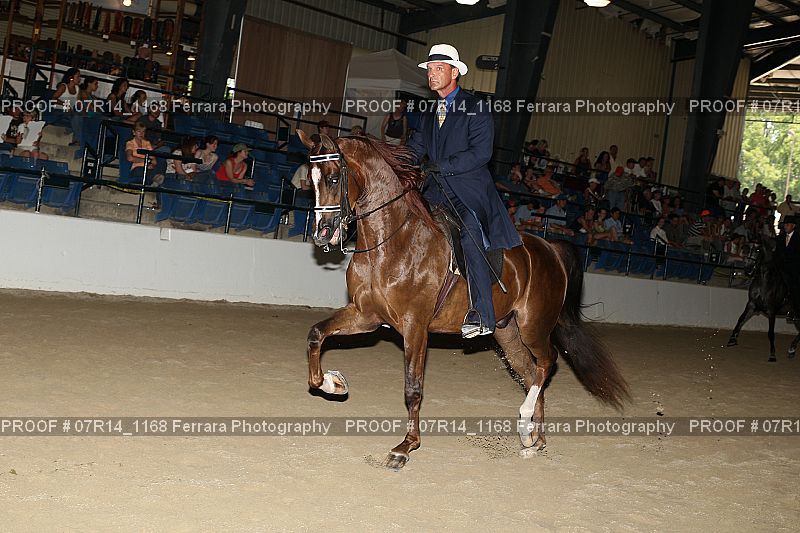 Proof 07R14_1168