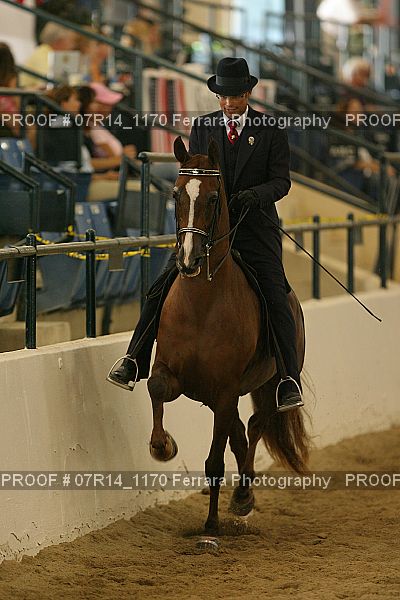 Proof 07R14_1170