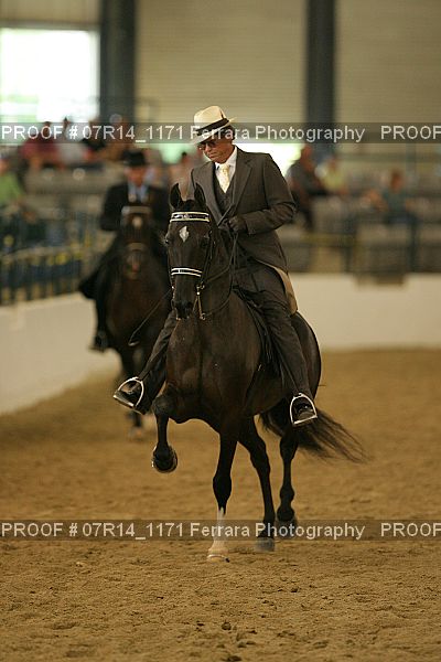 Proof 07R14_1171