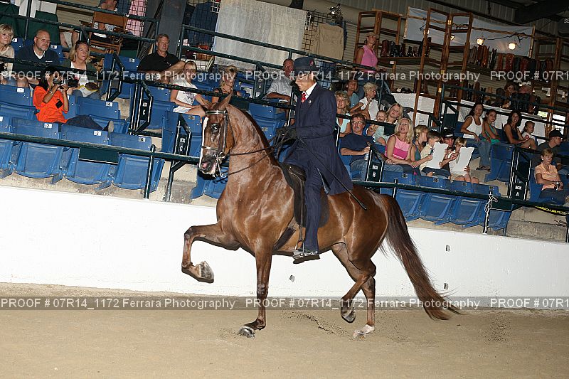 Proof 07R14_1172