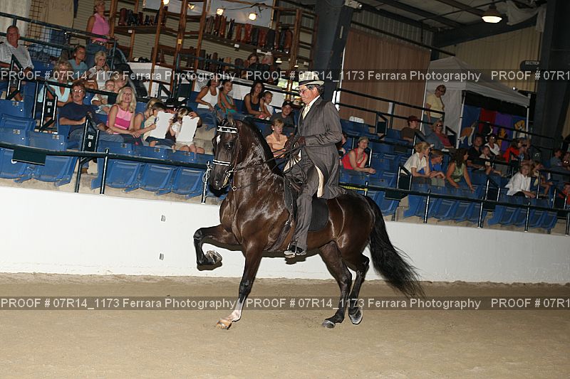Proof 07R14_1173
