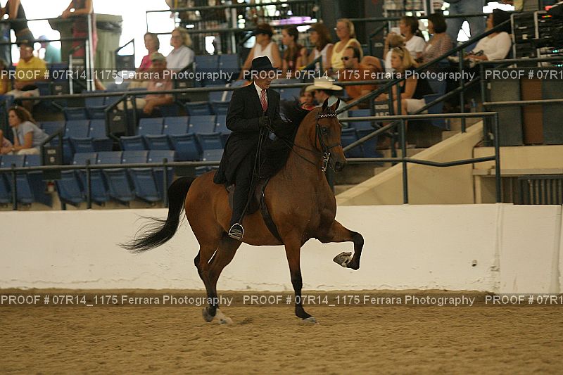Proof 07R14_1175