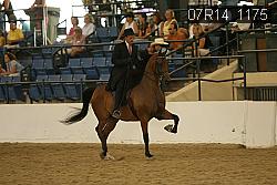 07R14_1175 proof