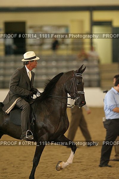 Proof 07R14_1181