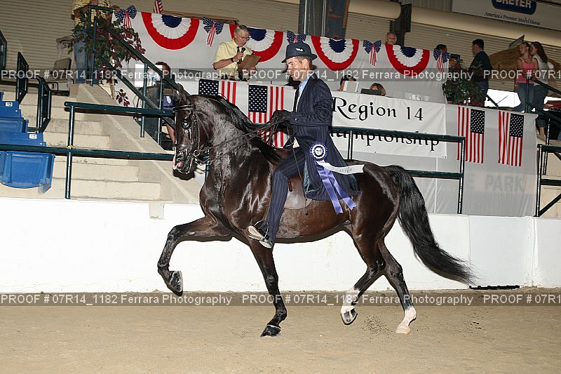 Proof 07R14_1182