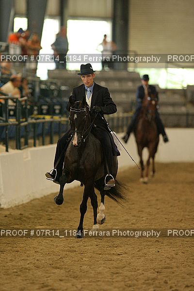 Proof 07R14_1184
