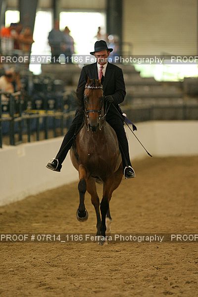 Proof 07R14_1186